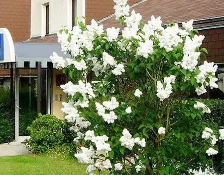 Bonanite Ξενοδοχείο